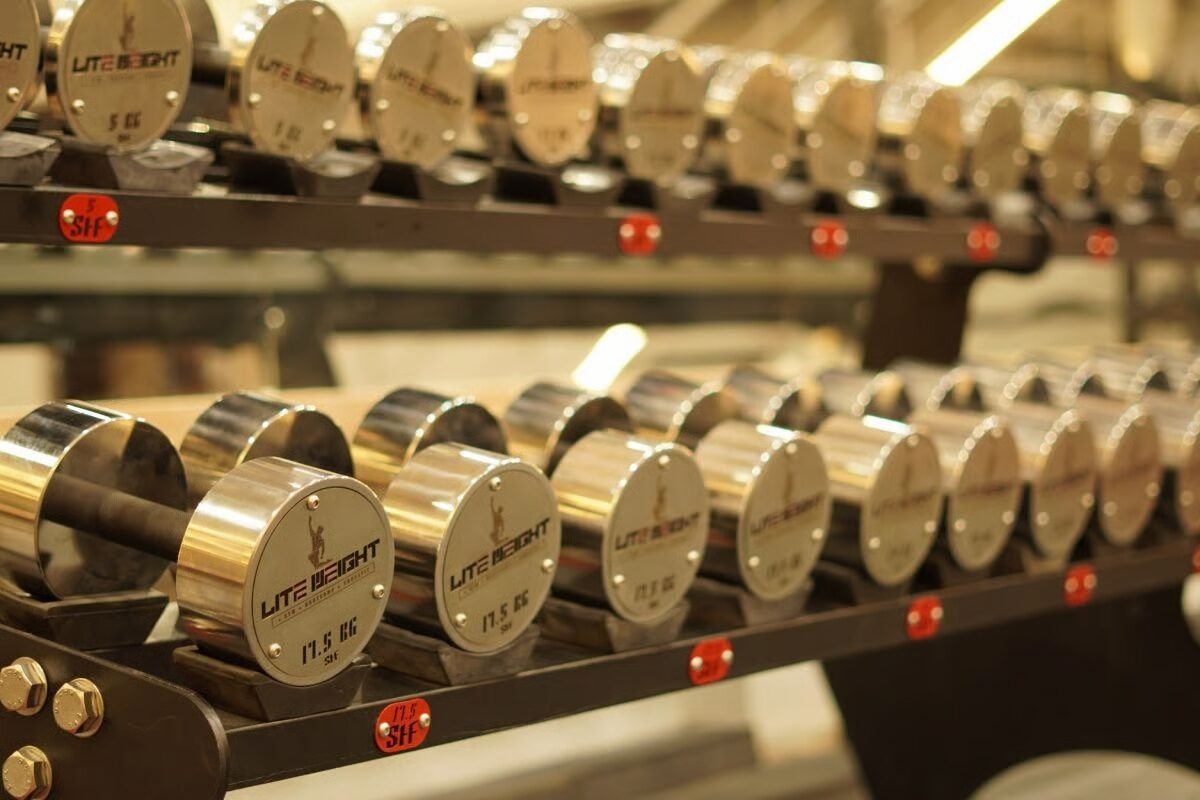 Premium chrome dumbbells on the Lite Weight gym rack